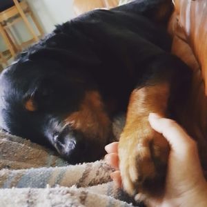 Meet your Posher, Delana